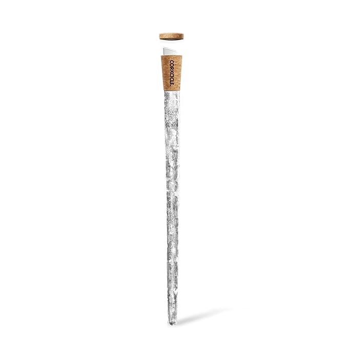 Corkcicle Air
