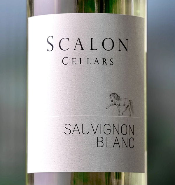 2024 Scalon Sauvignon Blanc