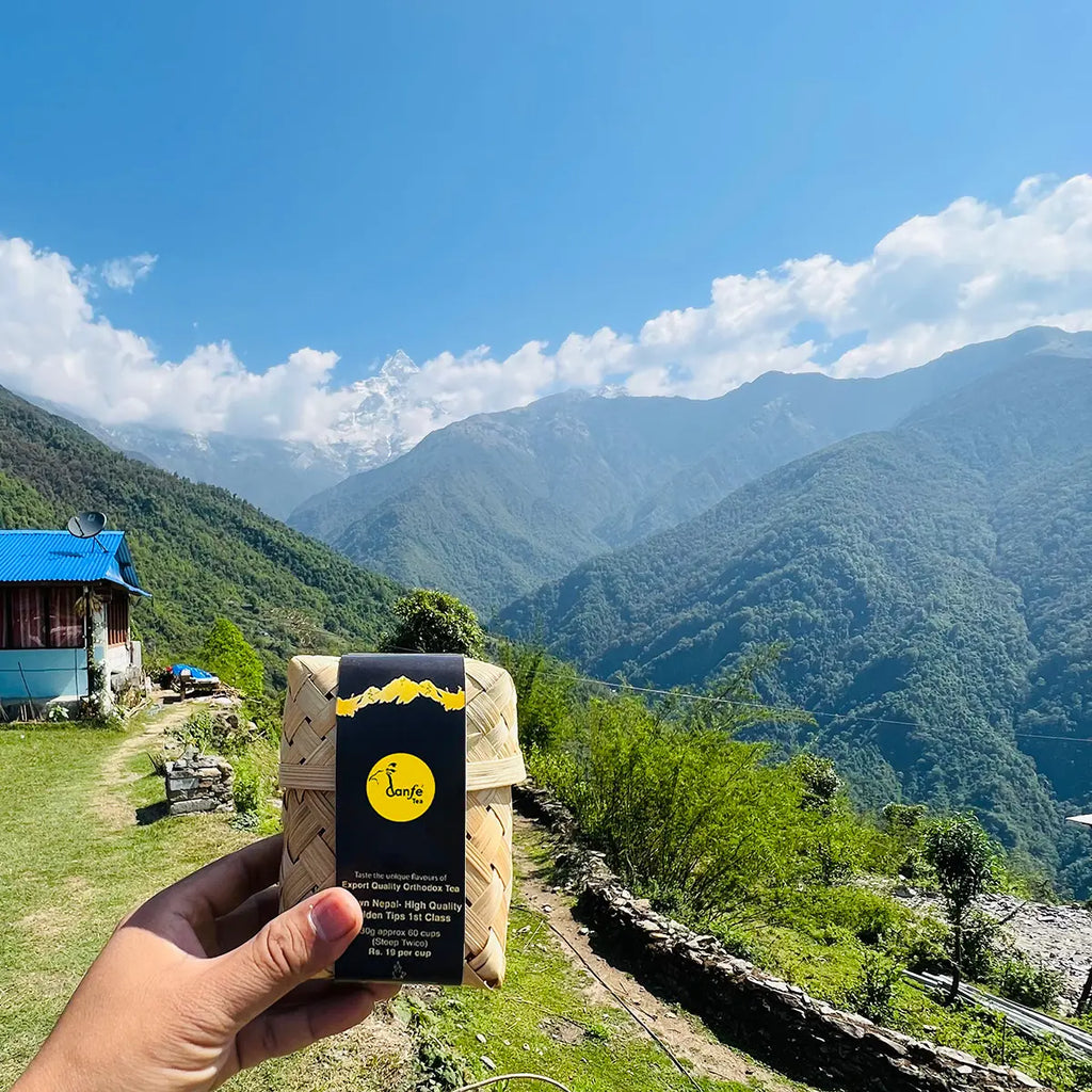02°  Yak Mountain Loose Leaf Masala Chai Tea