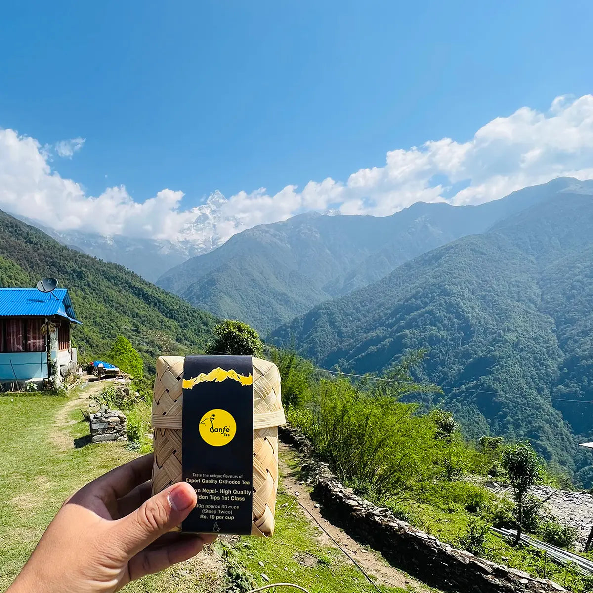 103° Coconut Chai