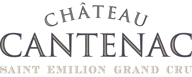 Chateau Cantenac Bordeaux Blanc 2024